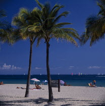 Palm trees on sandy beach with sunbathers sitting on sand near turquoise sea and sailing boats seen on water