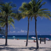 Palm trees on sandy beach with sunbathers under sun umbrellas on sand near turquoise sea