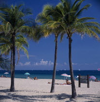 Palm trees on sandy beach with sunbathers under sun umbrellas on sand near turquoise sea