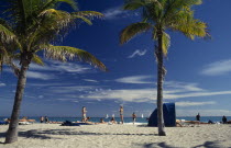 Sandy beach with sunbathers on the sand near palm trees