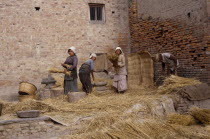 Women threshing wheat in the street.