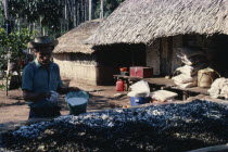 Llanero worker in small N W Amazon forest cocaine lab. Prepares coca leaves adding sodium bicarbonate to leach cocaine alkaloid out of them as they "sweat" in sun for a day.A man wearing a hat making...