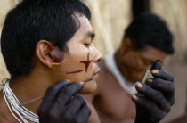 Barasana men  sub group of Tukano  decorating their faces with red ochote facial paint for ceremonial dance/festival Hands  wrists blackened with dark purple/black juice from We leaves Wearing necklac...