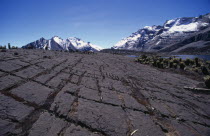 View across harshly weathered limestone karst-like plateau  large crevices where calcite weathered out. Frailejon "ferns" and Sierra peaks in distance.