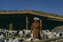 Khalkha winter sheep camp. Shepherd and daughter separating out lambs from sheep in pen in front of shelter with bales of fodder stored on sloping roof.East Asia Asian Mongol Uls Mongolian