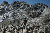 Khalkha winter sheep camp  shepherd in fleece-lined silk tunic and fur hat brings in his flock at foot of rocky mountainside with light covering of snow. East Asia Asian Mongol Uls Mongolian Scenic
