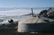 Khalkha winter sheep camp. Ger or Yurt with flu pipe from interior fireplace  the Khalkha family home in snow covered landscape with bactrian camel at side and Altai mountain backdrop.East Asia Asian...