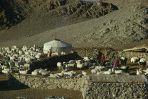 Khalkha winter sheep camp of gers yurts and flock of sheep  part penned inside stone walled enclosures on steep  barren hillside in mountain landscape.Khalha East Asia Asian Mongol Uls Mongolian Scen...