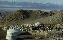 Khalkha winter sheep camp with three gers yurts and flock of sheep  part penned inside stone walled enclosure on steep  barren hillside overlooking desert valley and Altai mountains in distance.Khalh...