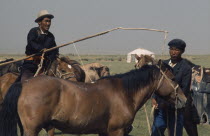 Khalkha horseman using a long lassoe-pole to bring in a wild pony to be broken in  East Asia Asian Equestrian Mongol Uls Mongolian