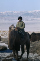 Young Khalkha man dressed in traditional fleece-lined winter clothing on bull camel  foaming at mouth in winter rutting season.  Distant Altai mountains behind.East Asia Asian Kids Mongol Uls Mongoli...