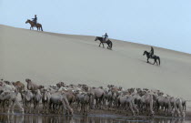 Camels in their summer moulting state at waterhole with three herdsmen on horseback climbing sand dune behind.East Asia Asian Mongol Uls Mongolian Scenic