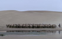 Camel herdsmen on horseback approaching waterhole on the edge of the Gobi desert. Sand dunes in very arid summer conditions .East Asia Asian Mongol Uls Mongolian Scenic