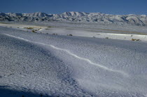 Mid-winter with snow-covered desert pastures. Onvoy of trucks brings fodder to outlying negdel collective. Altai mountains in background.East Asia Asian Mongol Uls Mongolian Scenic