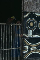 Detail of Makuna communal tribal home or maloca with white yellow clay and charcoal painted design on exterior facade.  Child looking out from interior with pet bird  type of Oropendola sitting on doo...