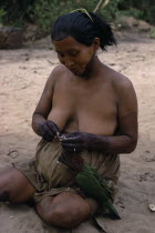Barasana woman with dark purple we leaf dye body decoration on neck hands legs and arms sitting on ground to feed pet parrot.Tukano sedentary Indian tribe North Western Amazonia body decoration Americ...