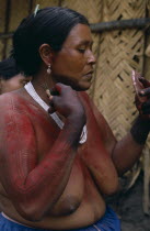 Barasana woman  Paulina  using cumare fibre bound twigs to apply pattern to red ochote fruit body paint on arms and upper body in preparation for manioc festival.  Hands and wrists already coloured da...