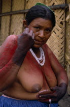 Barasana woman  Paulina applying red ochote fruit body paint to arms and upper body in preparation for manioc festival.  Hands already coloured dark purple to wrists dye made from boiled we leaves. T...