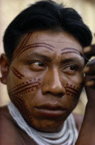 Barasana man applying dark red ochote facial paint. Tukano sedentary Indian tribe North Western Amazonia body decoration American Colombian Columbia Hispanic Indegent Latin America Latino Male Men Gu...