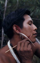 Barasana man  Bosco headman of maloca communal home   applying red ochote facial paint with ear pierced with white royal crane feather and wearing traded white glass bead necklace plus strings of blac...