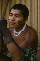 Barasana man looking in traded mirror to apply dark red ochote facial paint with hands already coloured dark purple to wrists from we leaf juiceTukano sedentary Indian tribe North Western Amazonia bo...
