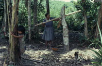 Barasana woman  Paulina  headman Boscos sister   outside maloca  pressing sugar cane through simple trapiche/press  Her daughter plays in foreground  both in Western dress.Tukano sedentary Indian tri...