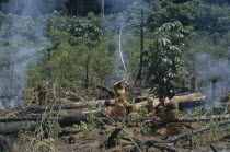 Barasana women in cleared area of rainforest  chagra/slash & burn cultivation plot.  Sitting beside charred felled trees and stumps with anthropologist Christine Hugh-Jones. Tukano sedentary Indian t...