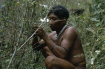 Barasana Indian picking coca leaves in the family chagra/cultivation plot in the forest.Tukano sedentary Indian tribe North Western Amazonia American Colombian Columbia Hispanic Indegent Latin Americ...