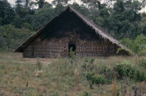 Barasana men painting design  using white and yellow clay and black charcoal  on front of maloca  the communal family home.  Tukano sedentary tribe Indian North Western Amazonia maloca American Colom...