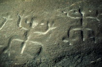 Barasana.  Detail of rock engravings depicting ancient dancing animal spirits  in old red sandstone strata et edge of rio Piraparana.Tukano sedentary tribe North Western Amazonia American Colombian C...