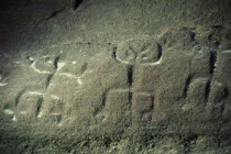 Barasana.  Detail of rock engravings depicting ancient dancing animal spirits in old red sandstone strata at edge of rio Piraparana.Tukano sedentary tribe North Western Amazonia American Colombian Co...