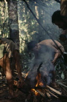 Maku hunters singeing hair from carcass of wild boar over open fire. On right of frame silhouette of anthropologist Peter Silverwood-Cope. indigenous tribe indian nomadic American Colombian Columbia...