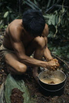 Maku nomadic hunter Umero preparing curare from root liana and bark scrapings. Once boiled to gluey consistency used as poison for blowpipe dart heads.Final process of dipping dart heads into curare t...