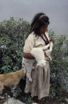 Ika shepherd girl checking recently born lambs feet in the high Sierra with sheepdog behind her.Arhuaco Aruaco indigenous tribe American Colombian Colombia Hispanic Indegent Latin America Latino Scen...