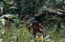 Embera father Hueso weeding dry rice plantation in forest clearing chagra  with his wife and two daughters.Pacific coastal region tribe family crop American Colombian Colombia Hispanic Indegent Kids...