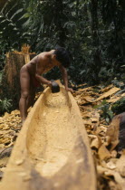 Embera man using axe or adze .  to hollow out dug out canoe from large felled hardwood tree.Once completed canoe is dragged through forest to riverside home where final shaping takes placePacific coa...
