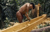 Hueso  an Embera man  uses an axe/adze to hollow out and shape a family canoe.Pacific coastal region piragua  tribe