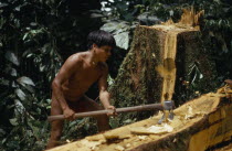 Hueso  Embera father using axe to fashion a new family canoe from recently felled hardwood tree. Pacific Coast Colombuia South America