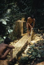 Hueso  an Embera father using axe to make family dug out canoe from large felled tree.Pacific coastal region boat piragua tribe