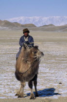 Mongol nomad man returning to camp on camel.