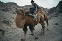 Herdsman on camel