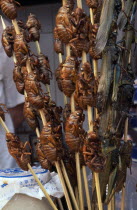Barbequed locusts on bamboo skewers.