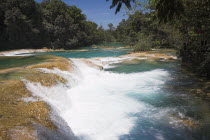 Cascada Agua Azul  Agua Azul Waterfall  near Palenque