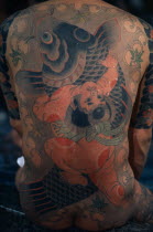 Heavily tattooed back of gangster or Yakuza gang member in public bath house.  Design depicts a carp  a symbol of vigour and energy   ikioi   from its ability to swim against the current and leap wate...