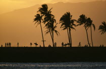 Surfers  cyclists and palm trees silhouetted against orange sky with sea in foreground.