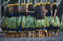 Group of Hula dancers.