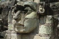 Site of ancient Mayan ruins.  Detail of carved stone face  partly complete  protruding from wall.