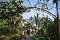 Eden Project.  Humid Tropics Biome interior  visitors on pathway amongst tropical plants  domed geodesic roof above