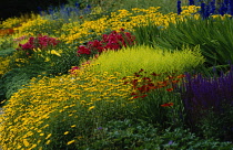 Colourful informal garden.