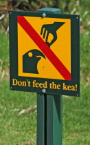 A DO NOT FEED THE KEA PARROT SIGN AT THE FRANZ JOSEF GLACIER  WESTERN NATIONAL PARK  Antipodean Oceania